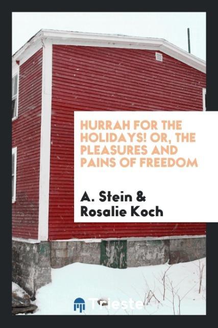 Kniha Hurrah for the Holidays! Or, the Pleasures and Pains of Freedom A. Stein