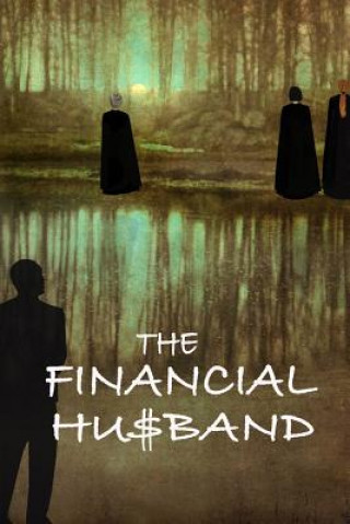 Buch The Financial Husband H K Finley