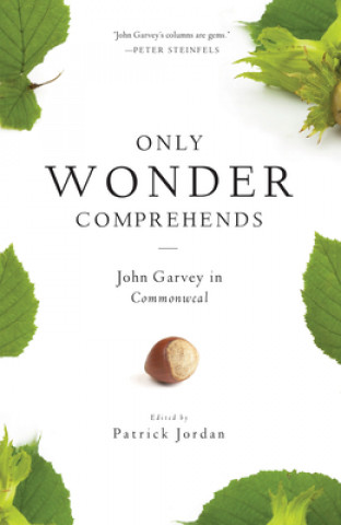 Kniha Only Wonder Comprehends John Garvey