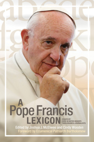 Buch A Pope Francis Lexicon Cindy Wooden
