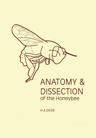 Book Anatomy & Dissection of the Honeybee H A Dade