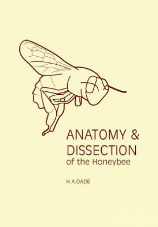 Könyv Anatomy & Dissection of the Honeybee H A Dade