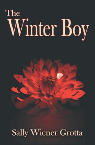 Carte The Winter Boy Sally Wiener Grotta