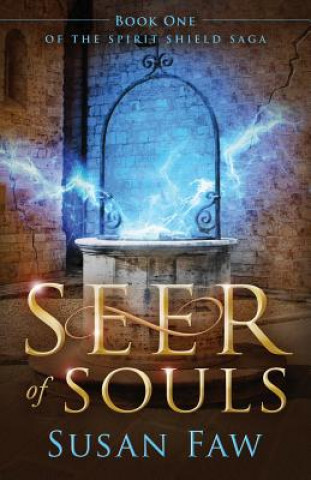 Buch Seer of Souls Susan Faw