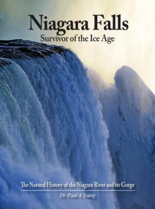 Carte Niagara Falls: Survivor of the Ice Age: The Natural History of the Niagara River and Its Gorge Paul A Young