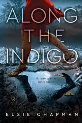 Könyv Along the Indigo Elsie Chapman
