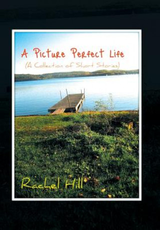 Könyv Picture Perfect Life Rachel Hill