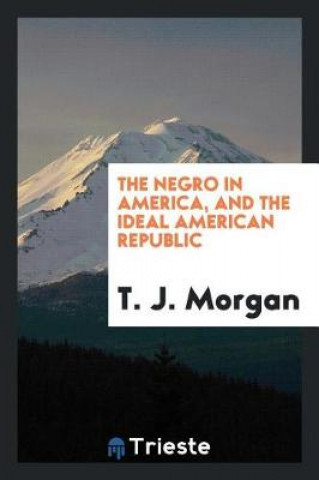 Kniha Negro in America, and the Ideal American Republic T. J. Morgan