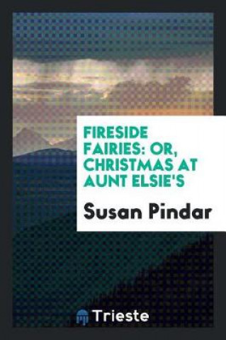 Kniha Fireside Fairies Susan Pindar