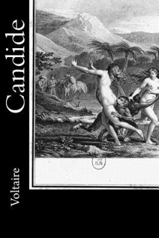Buch Candide Voltaire