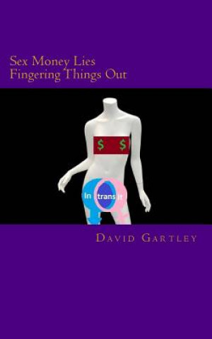 Książka Intransit: Money Sex Lies and Fingering things out David Anthony Gartley