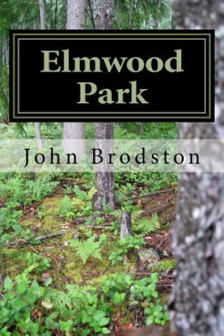 Könyv Elmwood Park: A Work of Fiction John Brodston