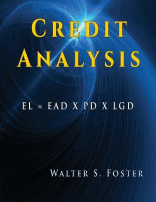 Knjiga Credit Analysis MBA Walter S. Foster