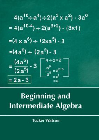 Kniha Beginning and Intermediate Algebra Tucker Watson