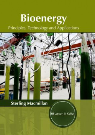 Kniha Bioenergy: Principles, Technology and Applications Sterling Macmillan