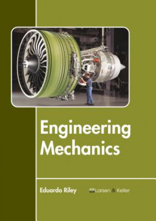 Knjiga Engineering Mechanics Eduardo Riley