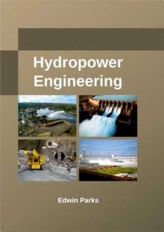 Kniha Hydropower Engineering Edwin Parks