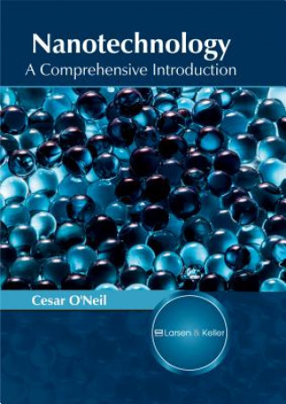 Kniha Nanotechnology: A Comprehensive Introduction Cesar O'Neil