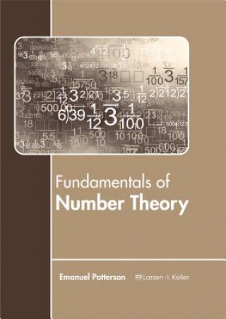 Kniha Fundamentals of Number Theory Emanuel Patterson