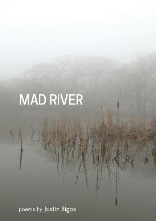 Kniha Mad River Justin Bigos