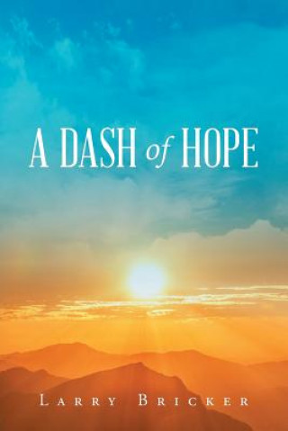 Buch Dash of Hope Larry Bricker