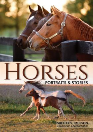 Book Horses Shelley Paulson