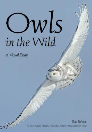 Kniha Owls In The Wild Rob Palmer