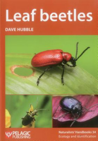 Könyv Leaf beetles Dave Hubble