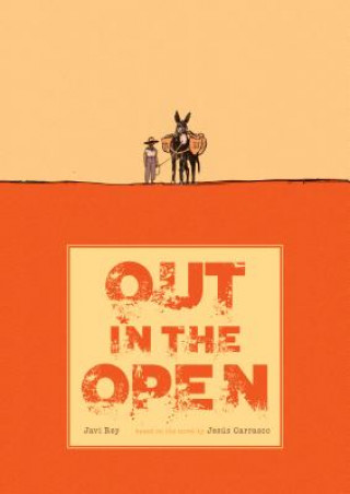 Книга Out in the Open Javi Ray