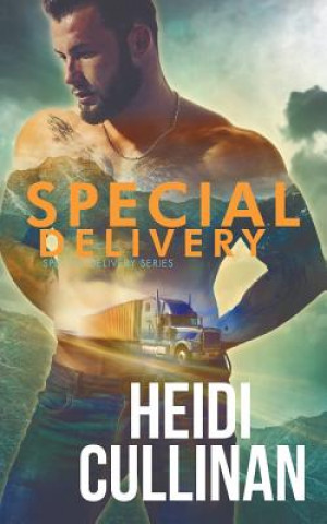 Libro Special Delivery Heidi Cullinan