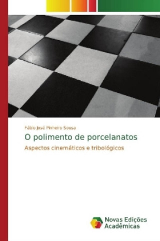 Livre O polimento de porcelanatos Fábio José Pinheiro Sousa