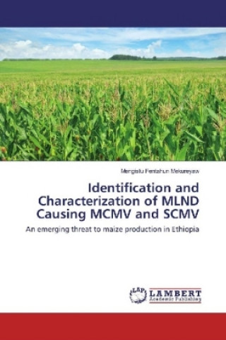 Książka Identification and Characterization of MLND Causing MCMV and SCMV Mengistu Fentahun Mekureyaw