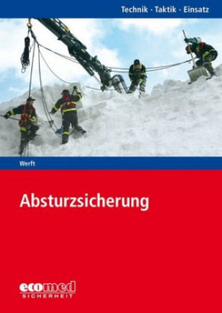 Buch Absturzsicherung Wolfgang Werft