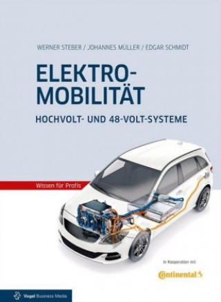 Kniha Elektromobilität Johannes Müller