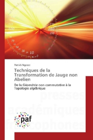 Knjiga Techniques de la Transformation de Jauge non Abelien Patrick Ngosse