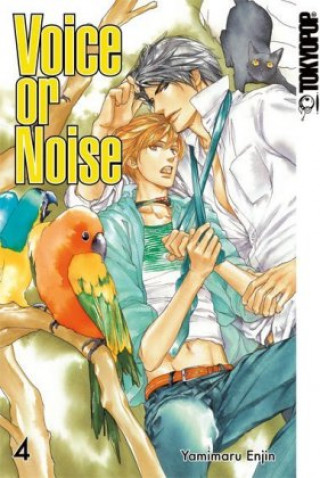 Livro Voice or Noise 04 Yamimaru Enjin