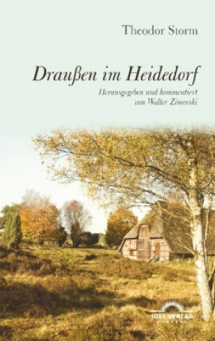 Buch Draußen im Heidedorf Theodor Storm