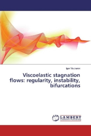 Książka Viscoelastic stagnation flows: regularity, instability, bifurcations Igor Mackarov