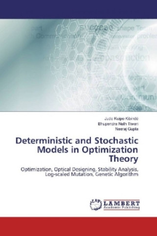 Knjiga Deterministic and Stochastic Models in Optimization Theory Jude Kuipo Kibindé