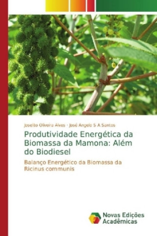 Carte Produtividade Energética da Biomassa da Mamona: Além do Biodiesel Joselito Oliveira Alves