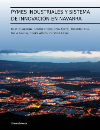 Könyv Pymes industriales y sistema de innovación en Navarra Mikel Olazaran