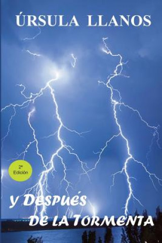 Buch Y después de la tormenta Ursula Llanos