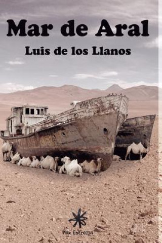 Carte Mar de Aral Luis De Los Llanos