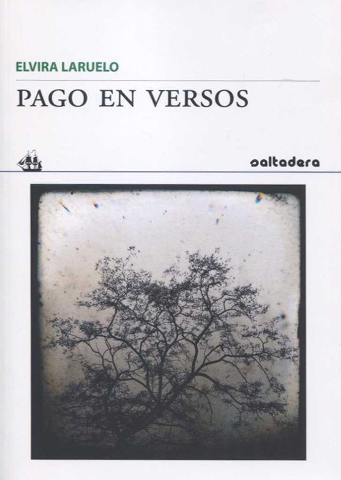 Buch PAGO EN VERSOS Laruelo de la Roz