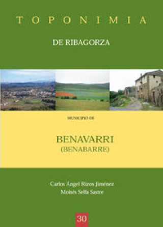 Könyv Municipio de Benavarri (Benabarre) Carlos Ángel Rizos Jiménez