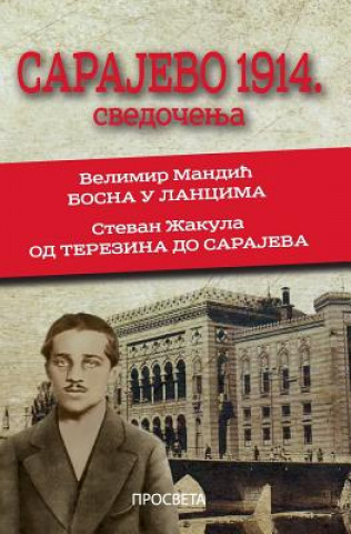 Könyv Sarajevo 1914.: Svedocenja Velimir Mandic