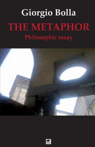 Книга The Metaphor: Philosophical essay Giorgio Bolla