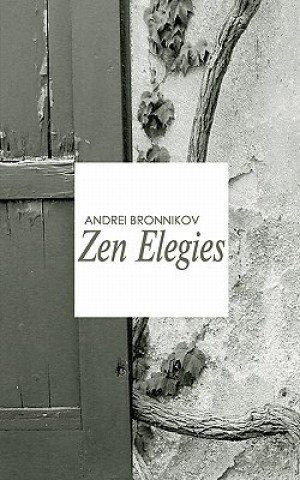 Kniha Zen Elegies Andrei Bronnikov