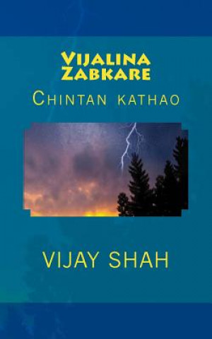 Kniha Vijalina Zabakare: Chintano Vijay Shah