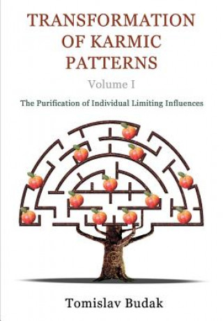 Kniha Transformation of Karmic Patterns, Volume I: The Purification of Individual Limiting Influences MR Tomislav Budak Ma